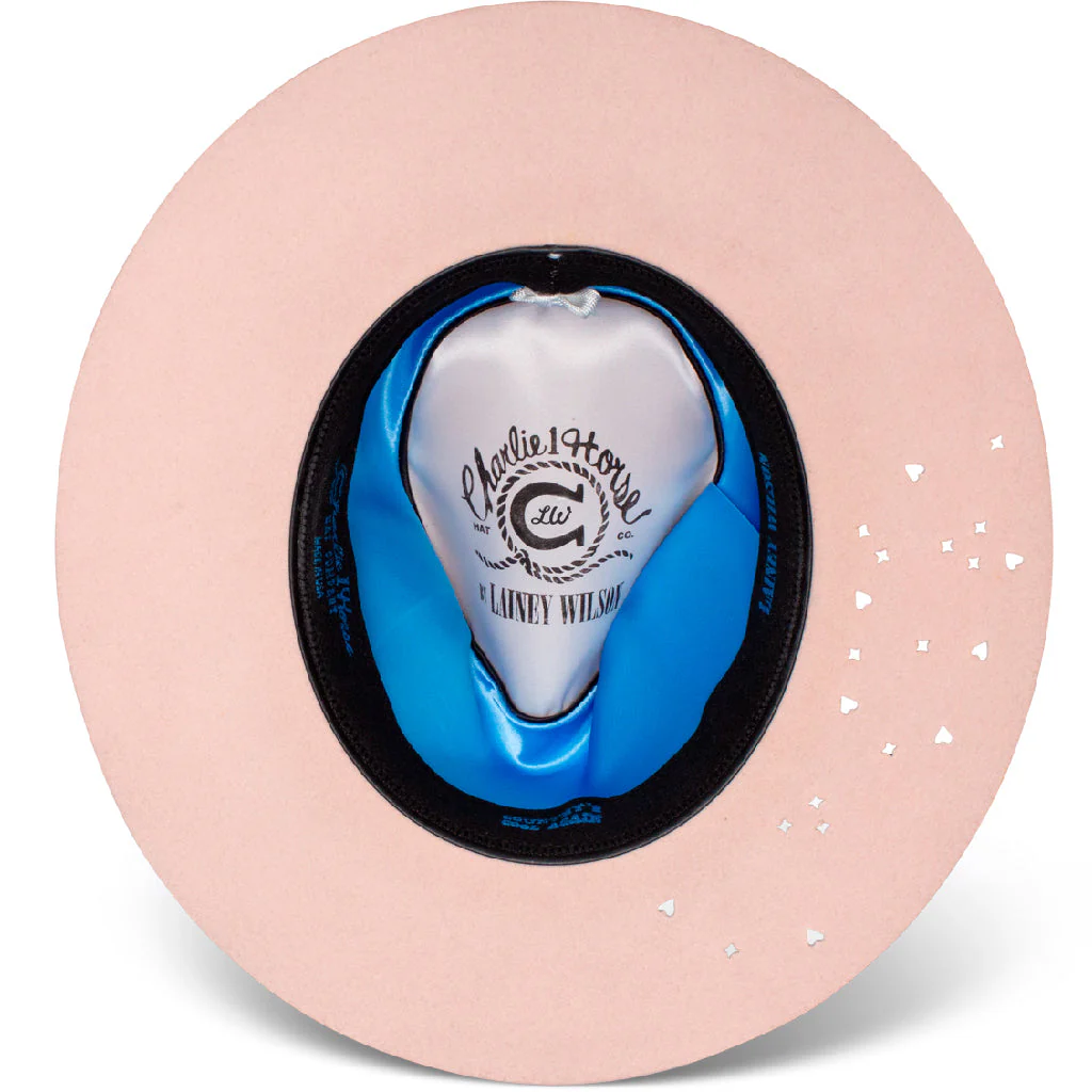 Charlie 1 Horse Hillbilly Hippie Powder Pink - Imagen 5