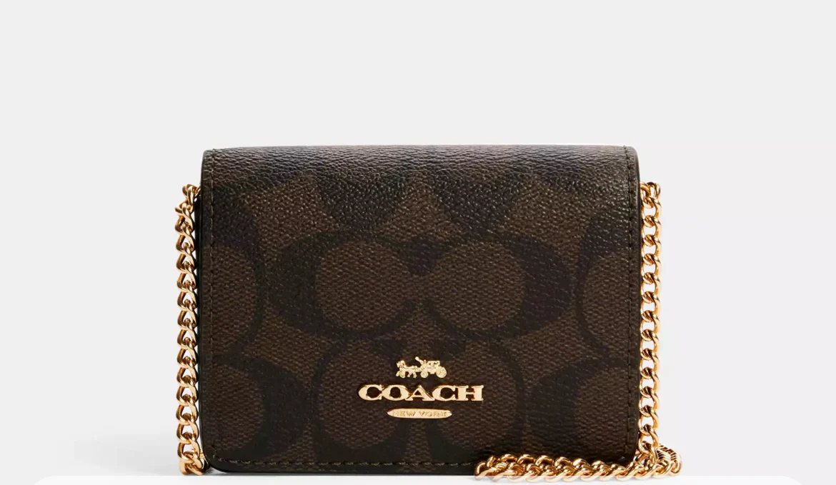 Coach Mini Skinny Wallet Signature Canvas